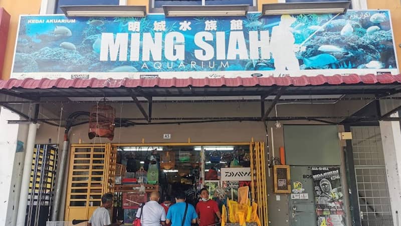 kedai pancing ming siah aquarium