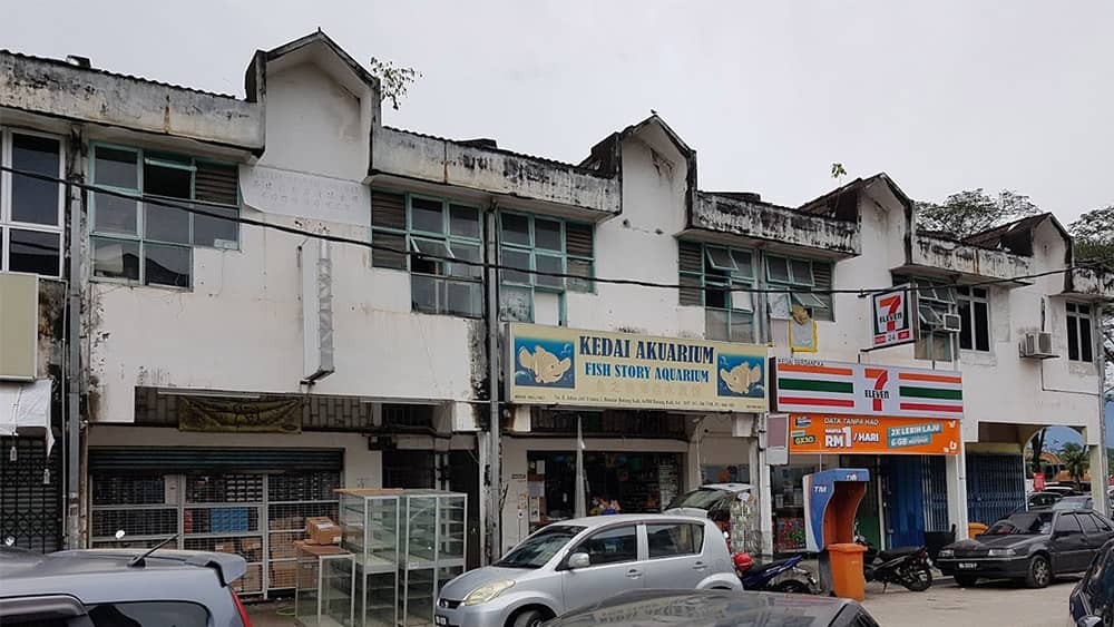 kedai pancing batang kali fish story aquarium